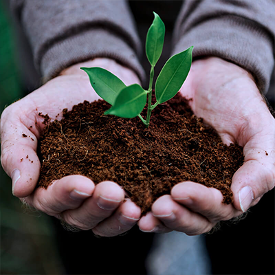 Sustentabilidade